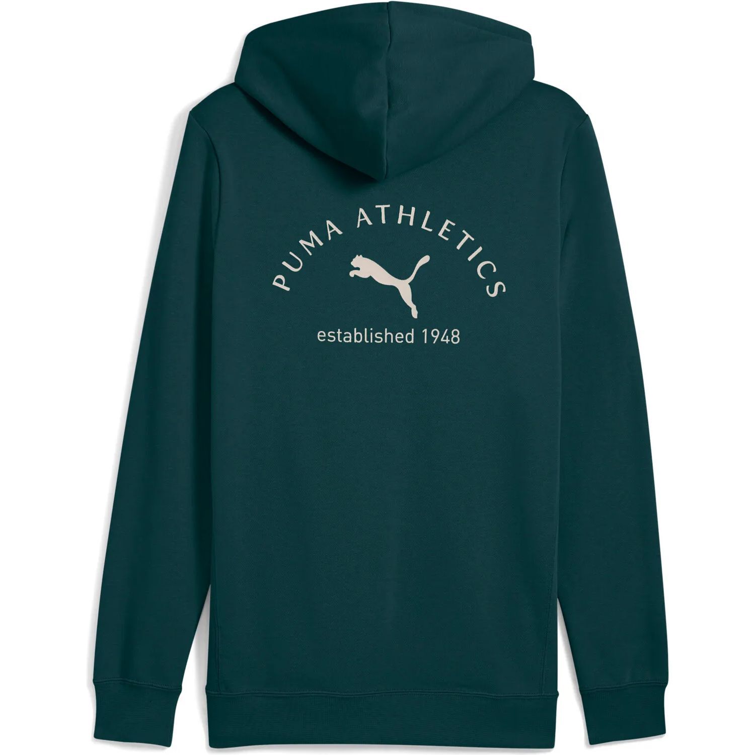 PumaPUMA CLASS Graphic Hoodie FL