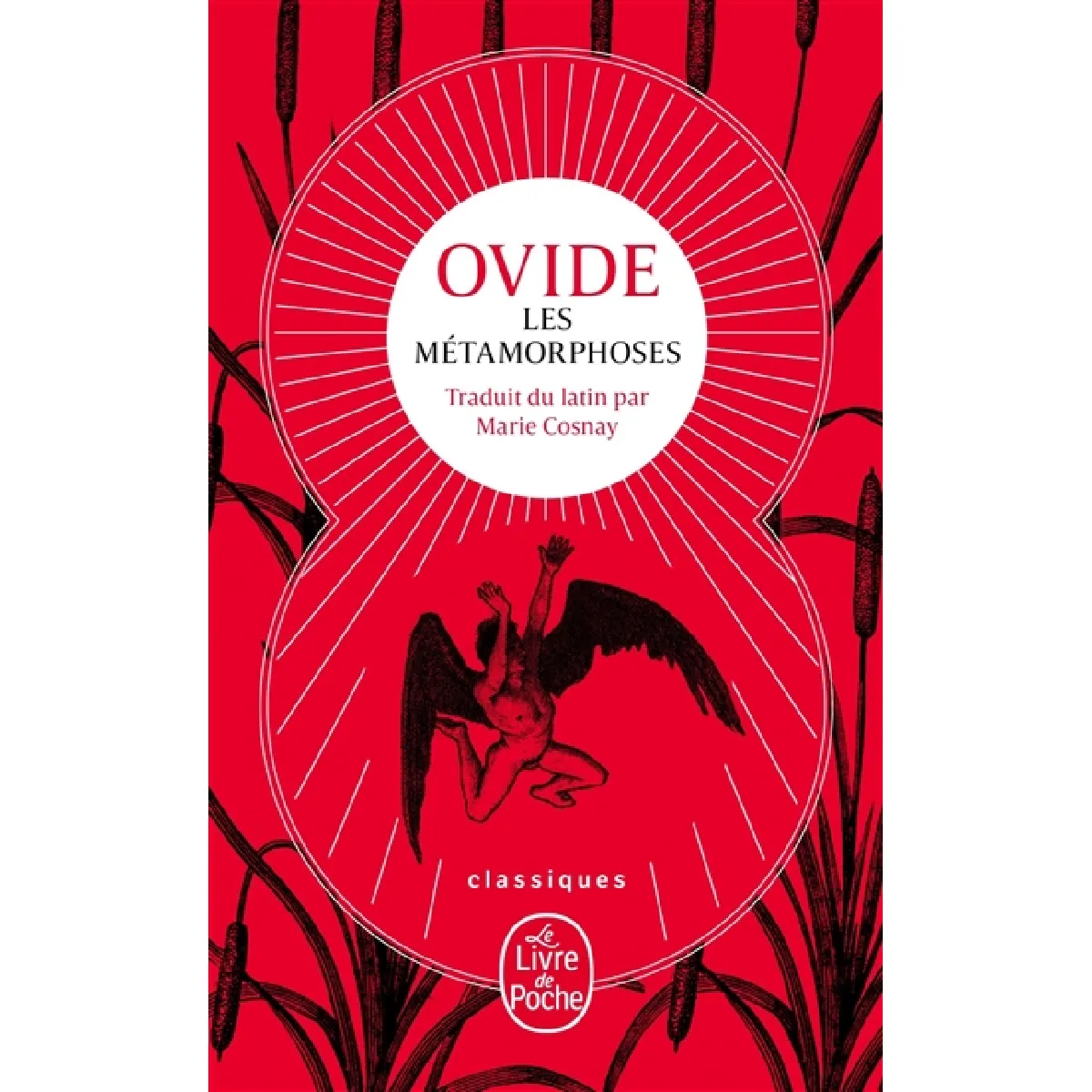 Les métamorphoses · Occasion