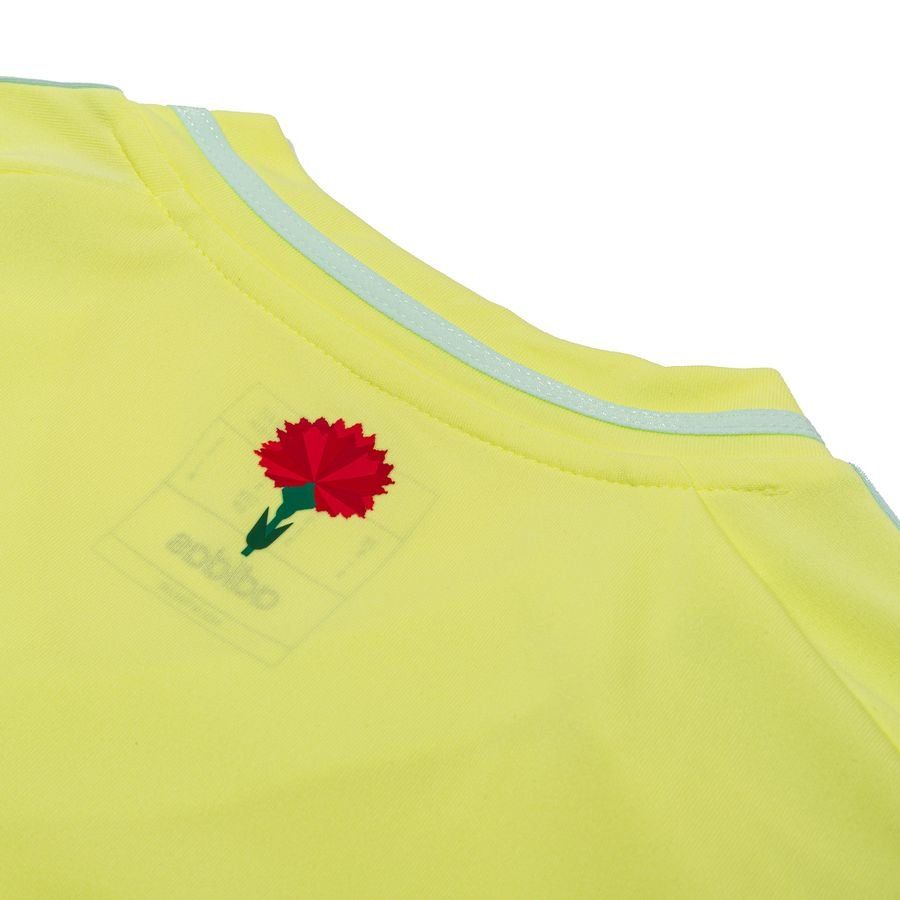 Espagne Maillot Extérieur 2024/25 Enfant