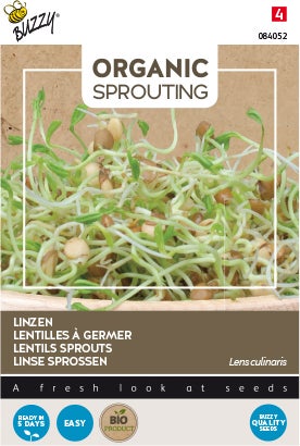 Buzzy kiemgroentezaad Linzen (Lens culinaris)