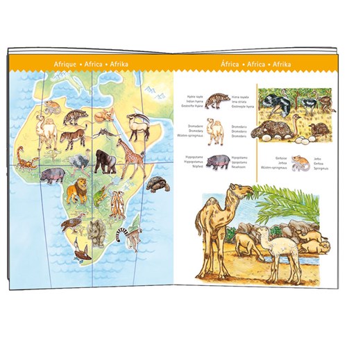 Puzzle observation 100pcs  5y animaux du