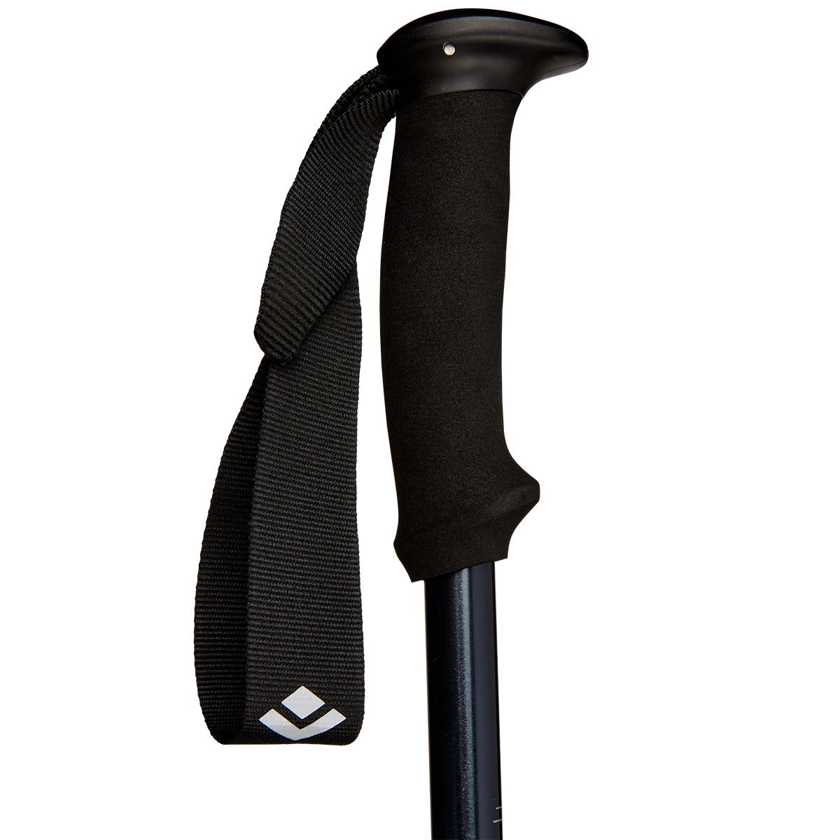 Black Diamond Explorer 2 vandrestave