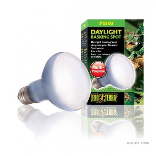 Lâmpada focal EXO TERRA SUN GLO 75 W