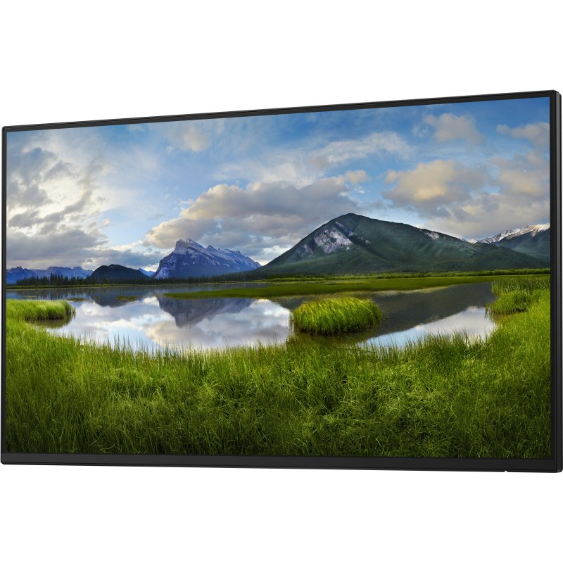 DELL Pro Plus P2425HE_WOST écran plat de PC 61 cm (24