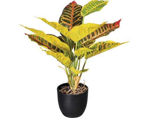 Kunstplant Croton, hoogte: 35 cm, groen
