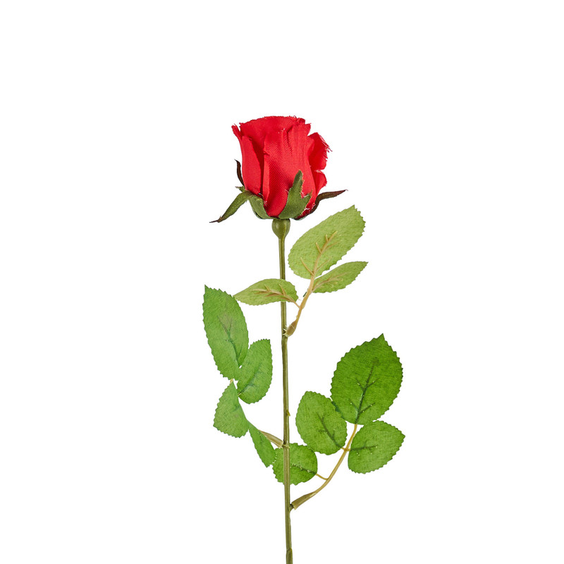 Mercedes roos - rood - 49 cm