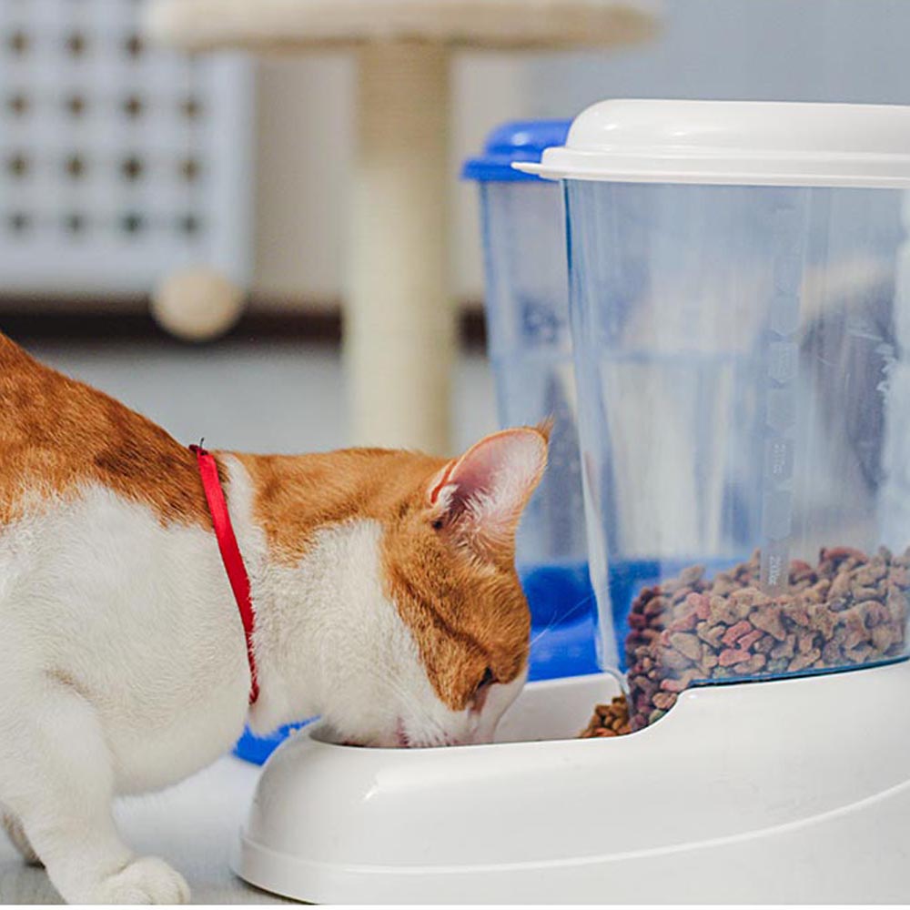 Ferplast distributeur d'eau pour chats et chiens nadir abreuvoir 3 litres pour animaux, chiens de taille petite et moyenne,