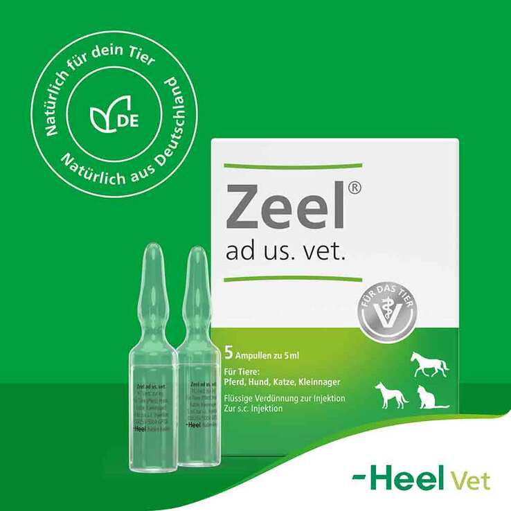 Zeel Ampullen vet. (für Tiere), 5X5 ml