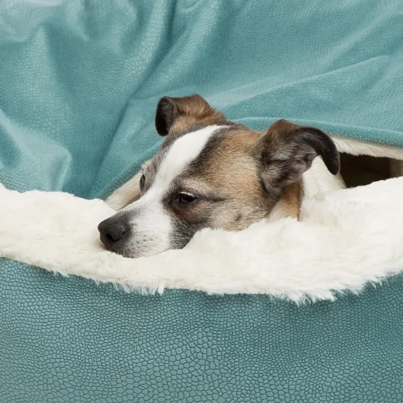 (Ø58cm) Hunde Bett Kuschel Hundesofa Weiches Haustier Kissen mit Decke - Türkis / Weiss