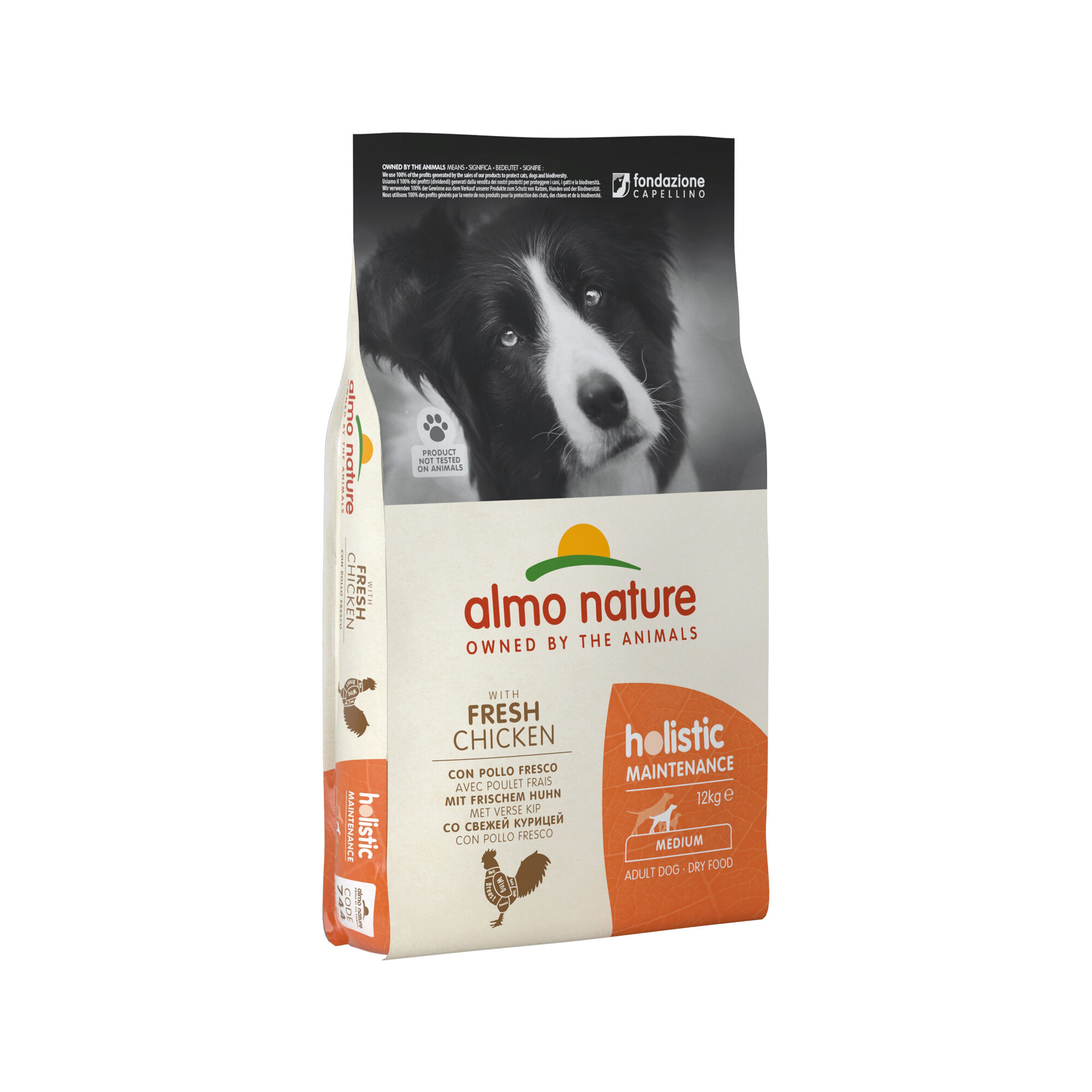 Almo Nature Holistic Maintenance Hondenvoer - Kip