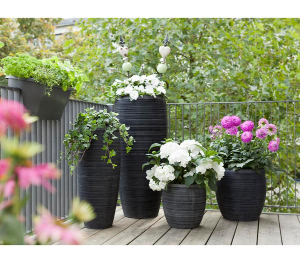Dehner Polystone-Pflanzvase Singapur in