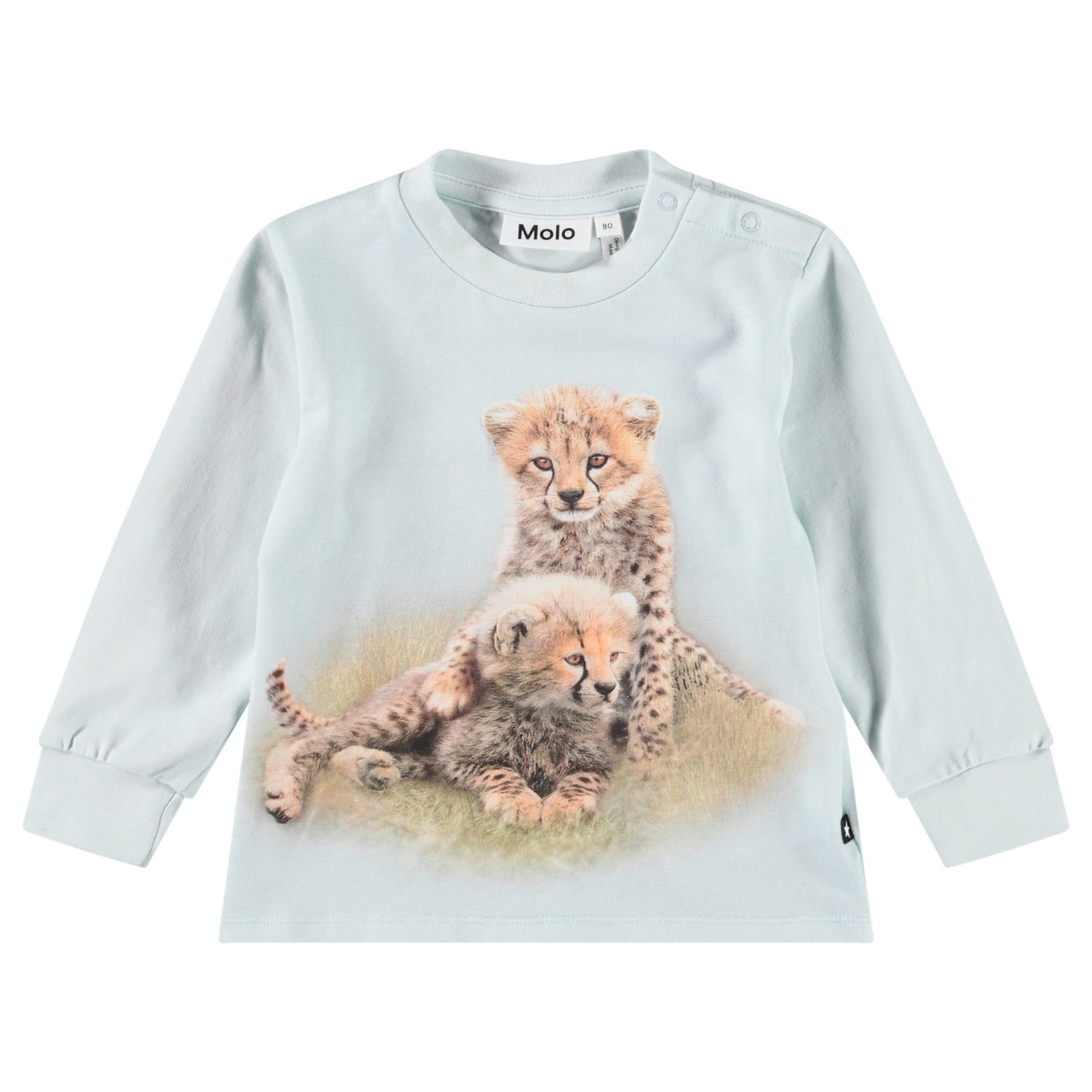 Eloy - Cute Cheetas