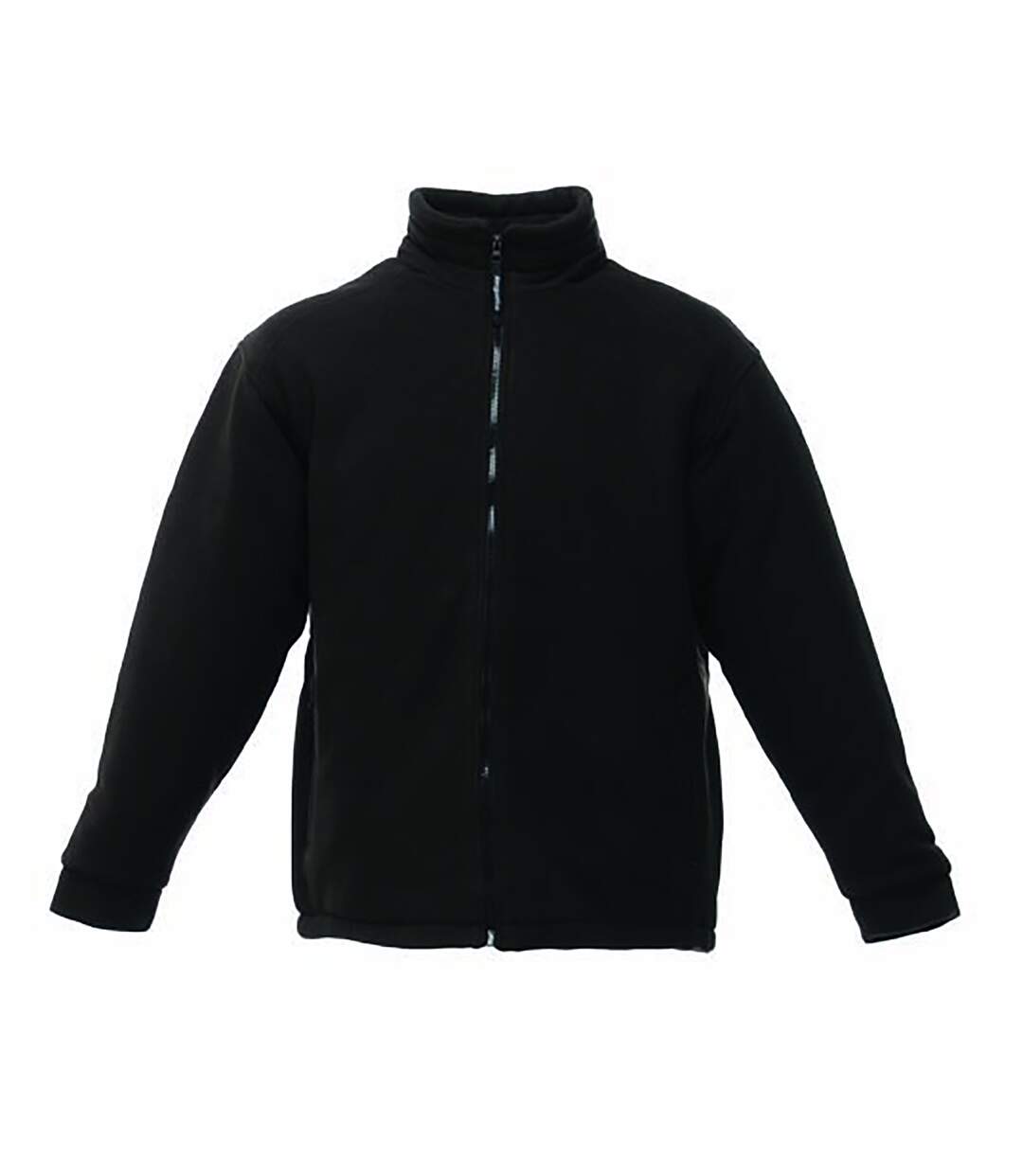 Regatta - Doudoune ASGARD - Hommes (Noir) - UTRG1838