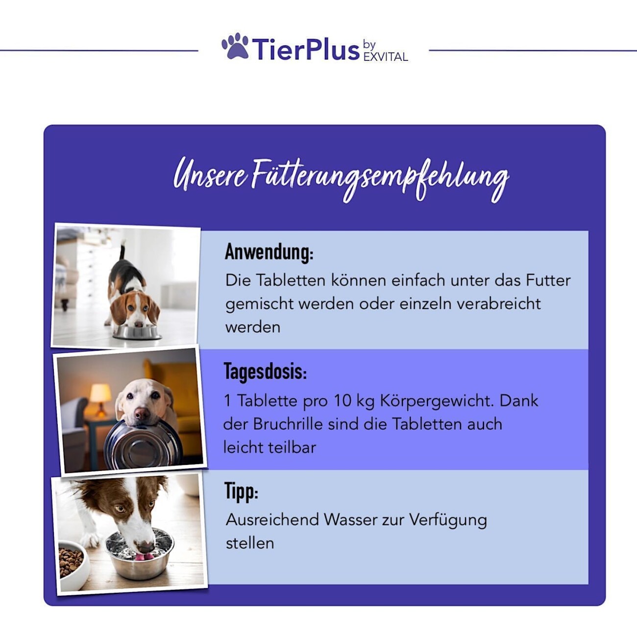 TierPlus ® Ruhezeit mit Baldrian