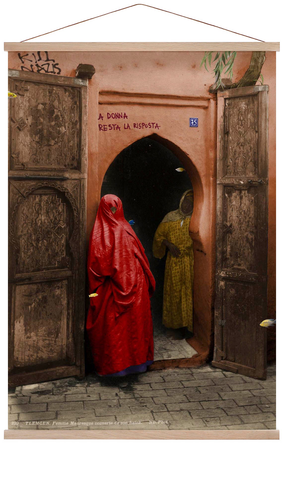 Tlemcen von corentin sauvage