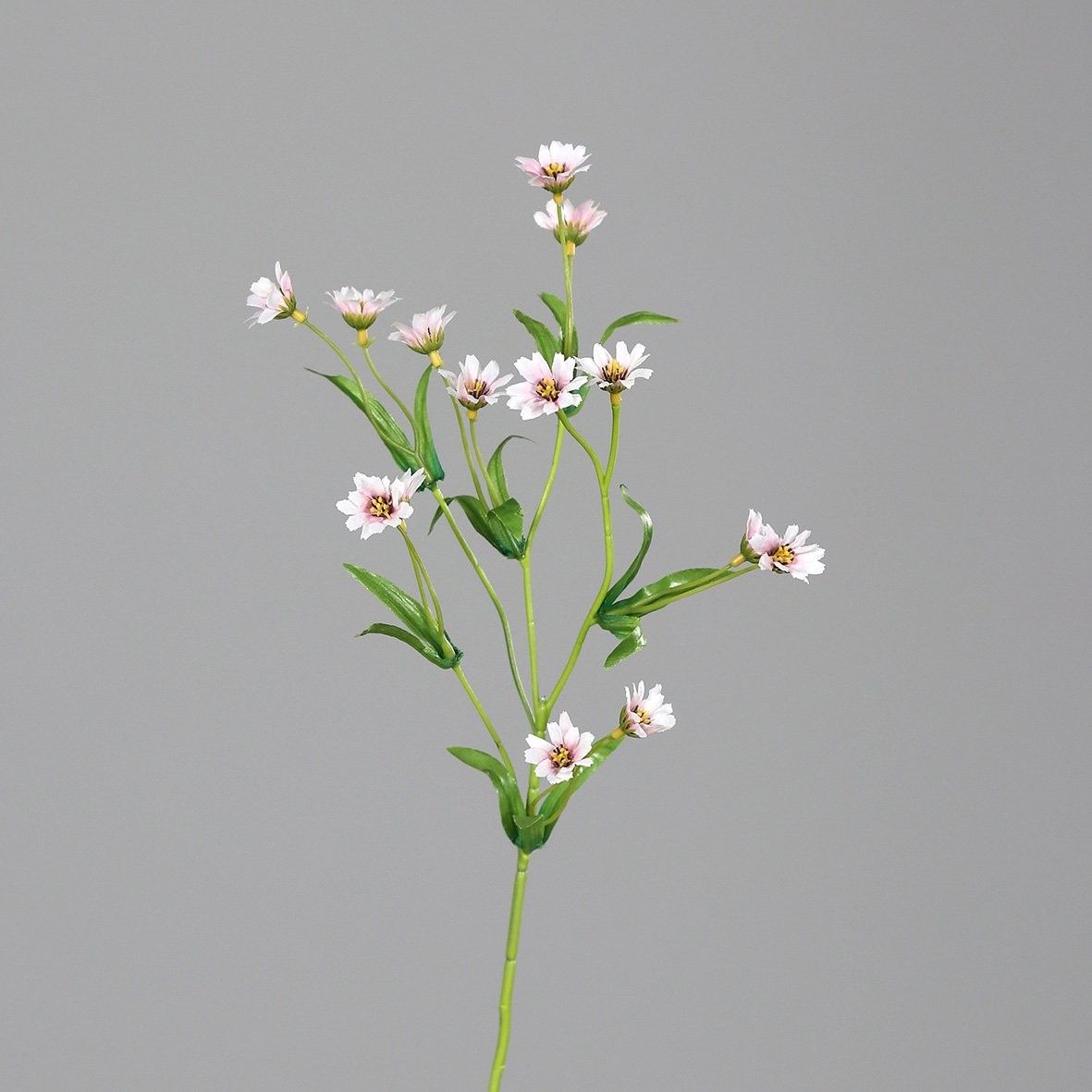 Kunstblume ZINNIE