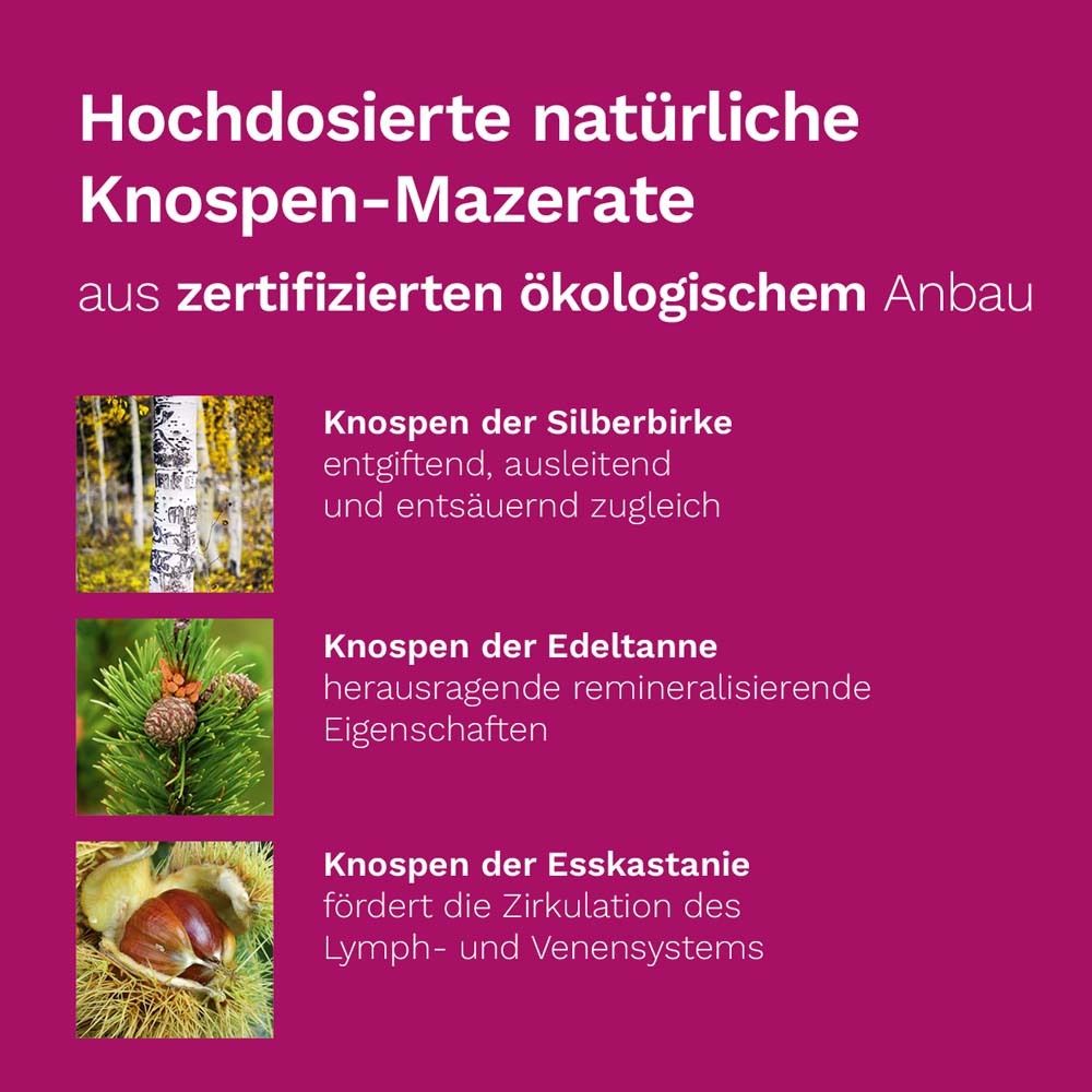 DR. KOLL Detox Plus*