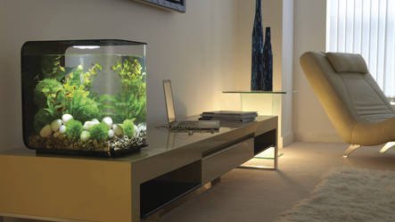 biOrb Flow 30 MCR Wit | Aquarium