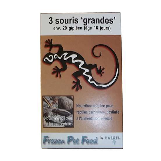 Souris large 16 jours, 20 gr (3 pièces)