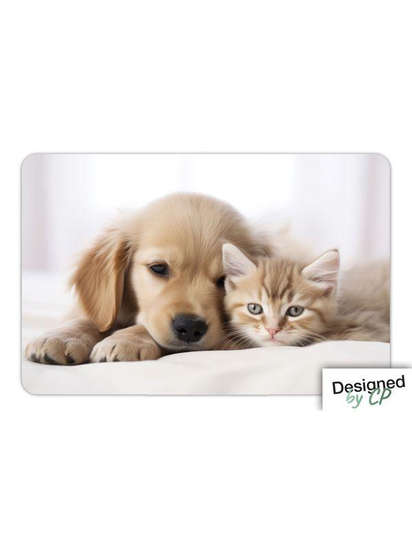 SET TABLE CHIEN