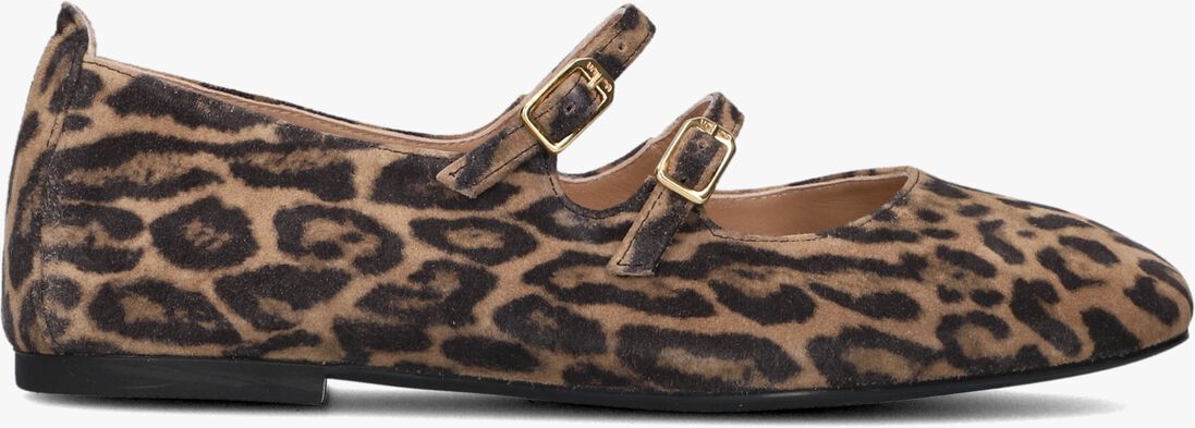 taupe unisa ballerina's berley
