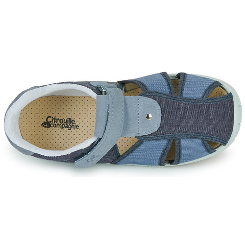 Citrouille et Compagnie - FIJOSAN - Marine / Denim