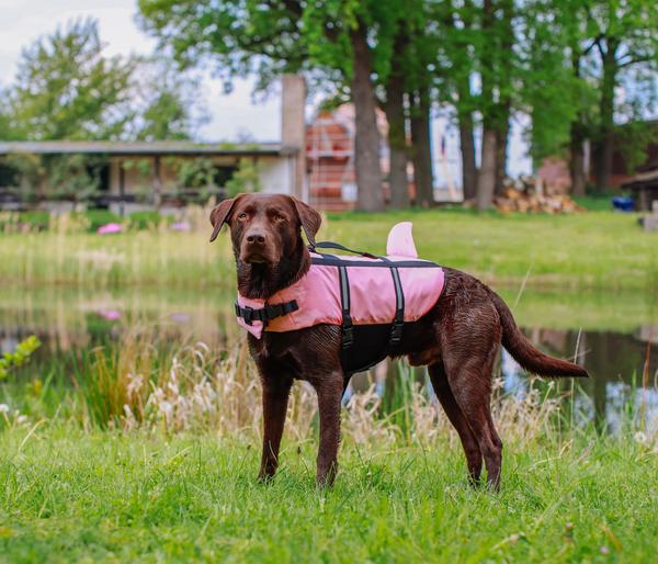 Nobby Schwimmhilfe für Hunde Sharki, pink
