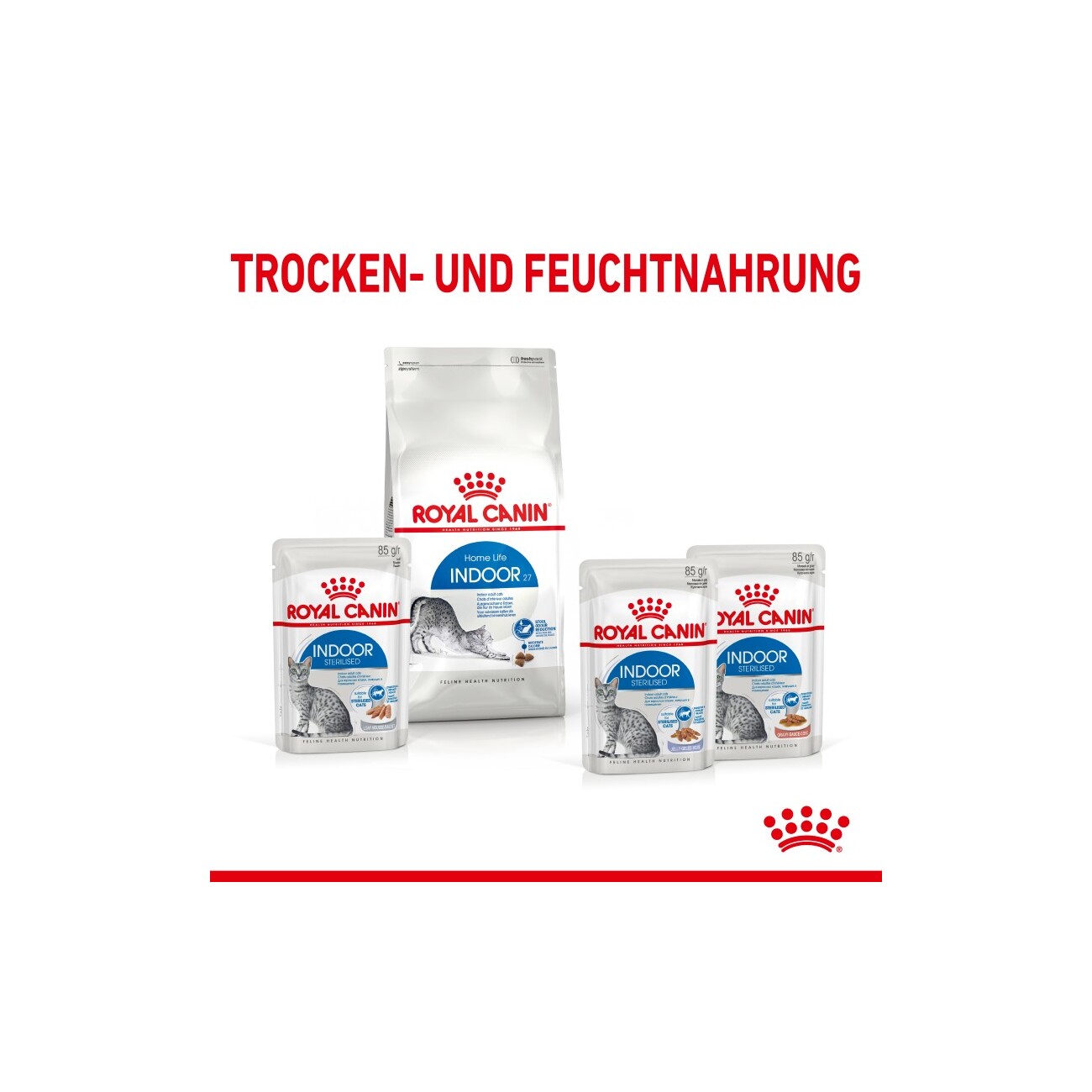 ROYAL CANIN Indoor Sterilised Adult in Gelee 12x85 g