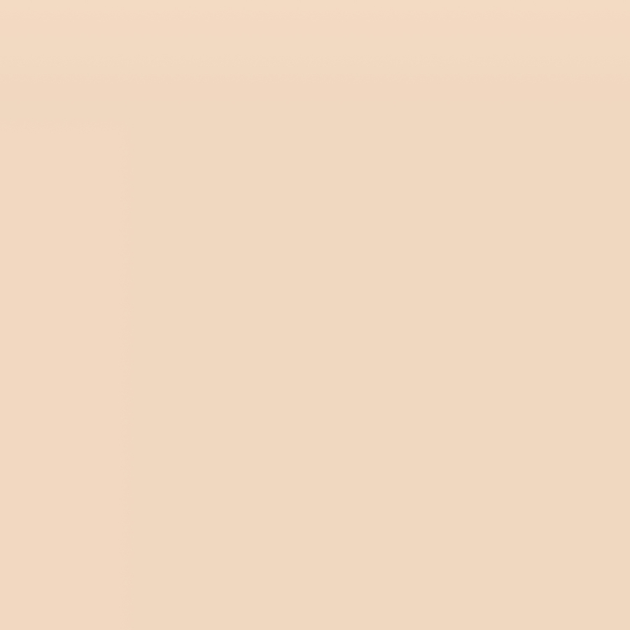 Guerlain Terracotta Le Teint Fluid Foundation 0N 35ml