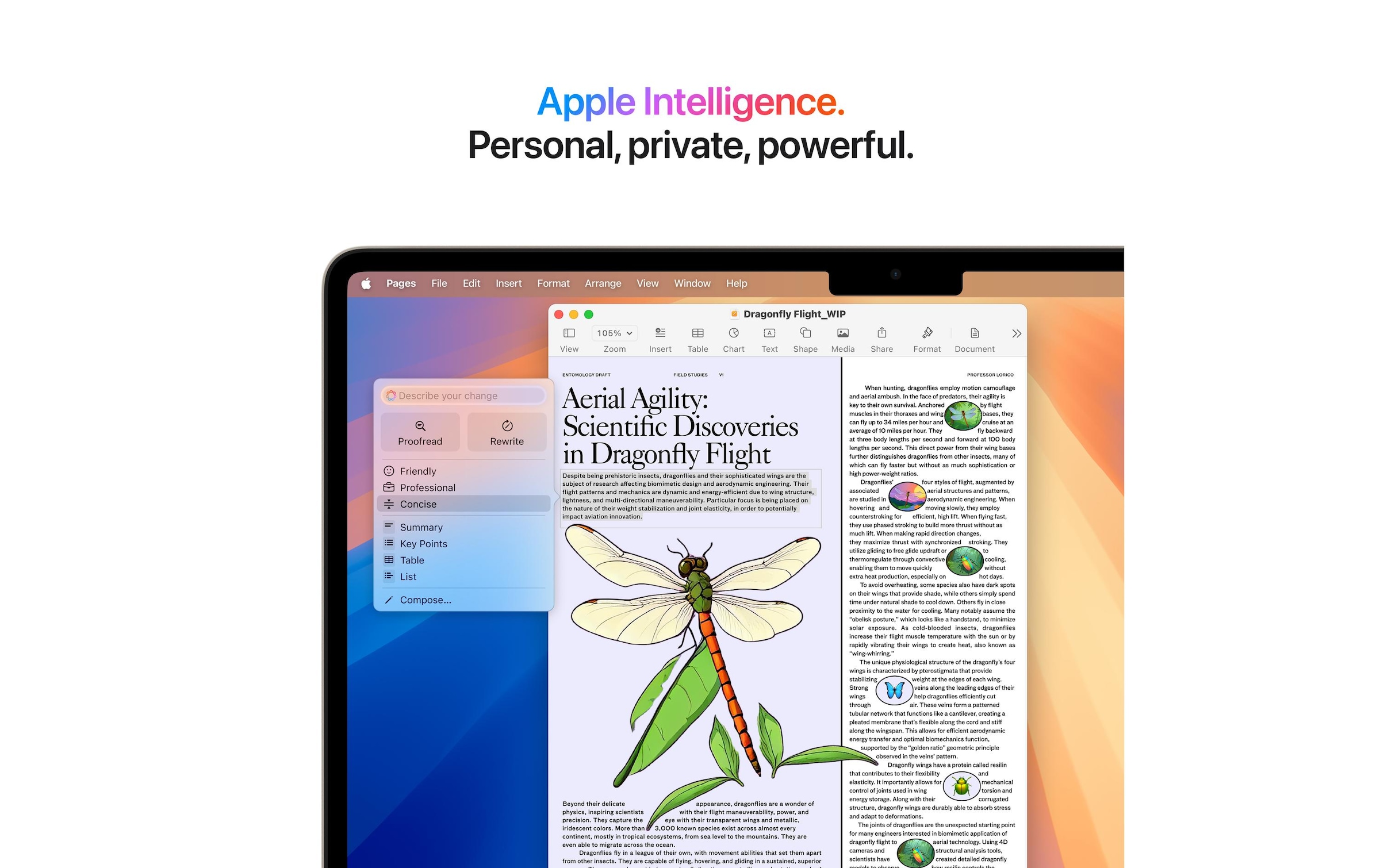 Apple Notebook »Air 13 2025 M4 10C GPU / 16 GB / 512 GB Starlight«