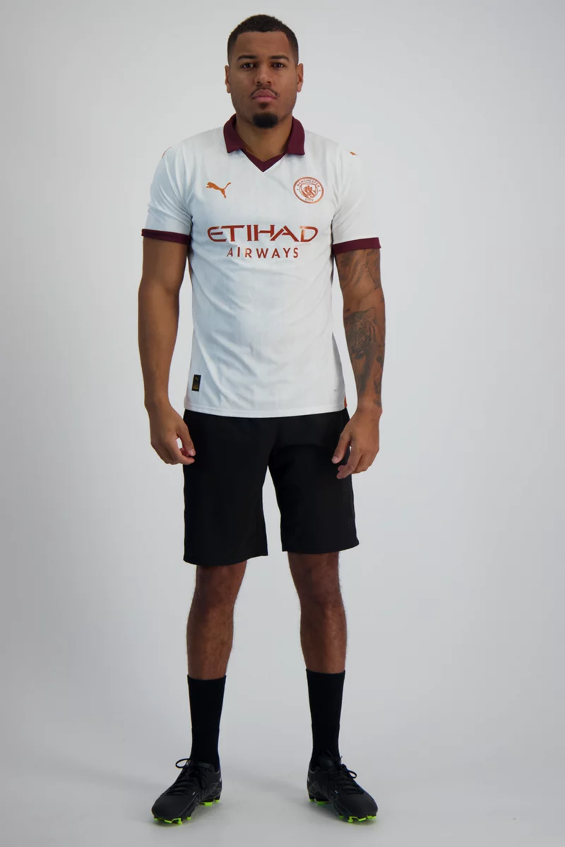 Puma Manchester City Away Replica Herren Fussballtrikot 2324