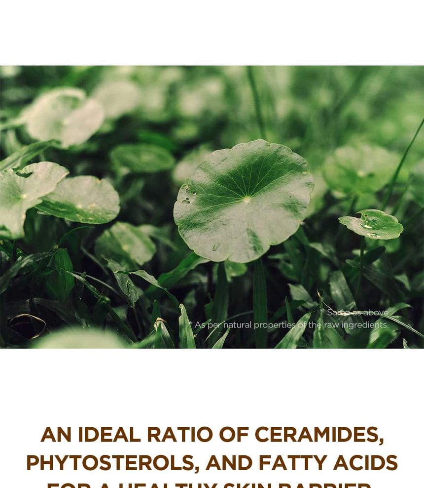 HUID 1004 - Madagascar Centella Probio-Cica Enrich Cream Mini