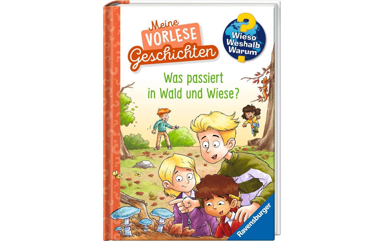 Kinder-Sachbuch WWW: Was passiert in Wald und Wiese?Klappbuch