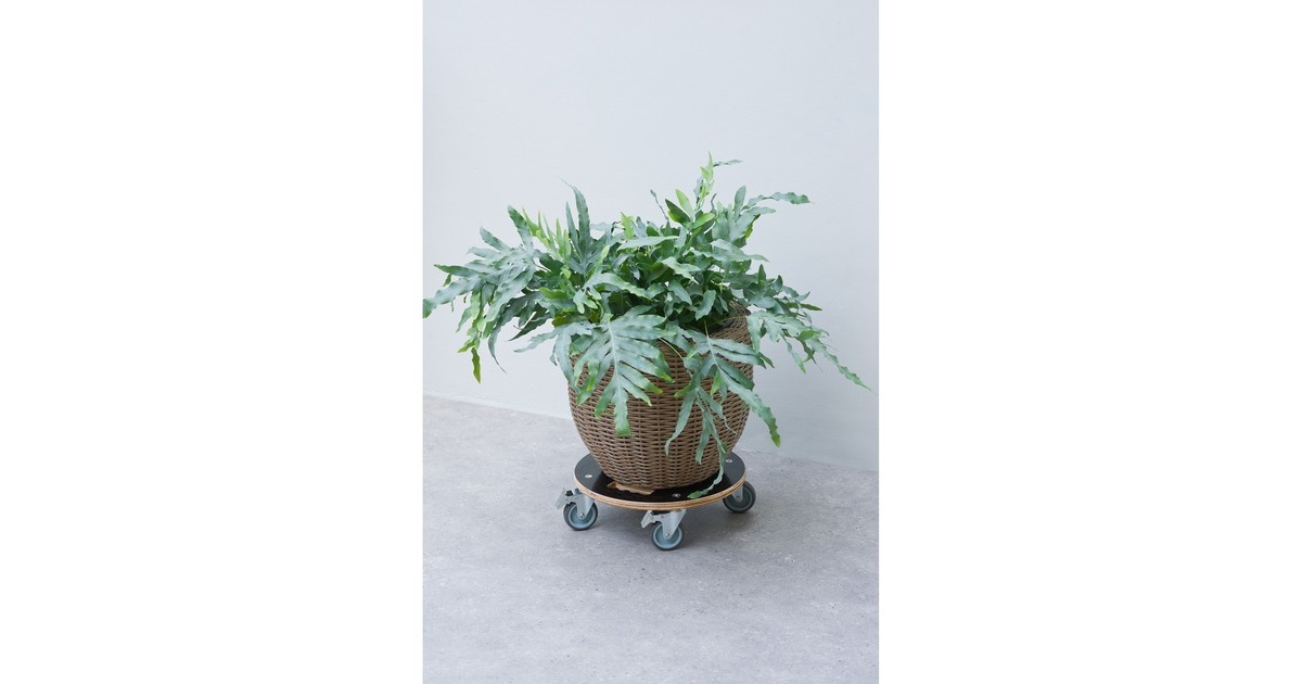 NaturePlanttrolley rond rolplank  (Zwart)