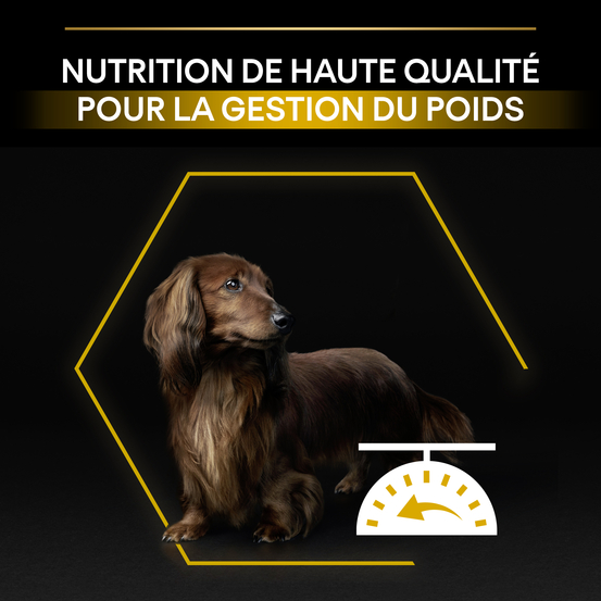 Croquettes chien adulte stérilisé de petite taille au poulet - 3 kg