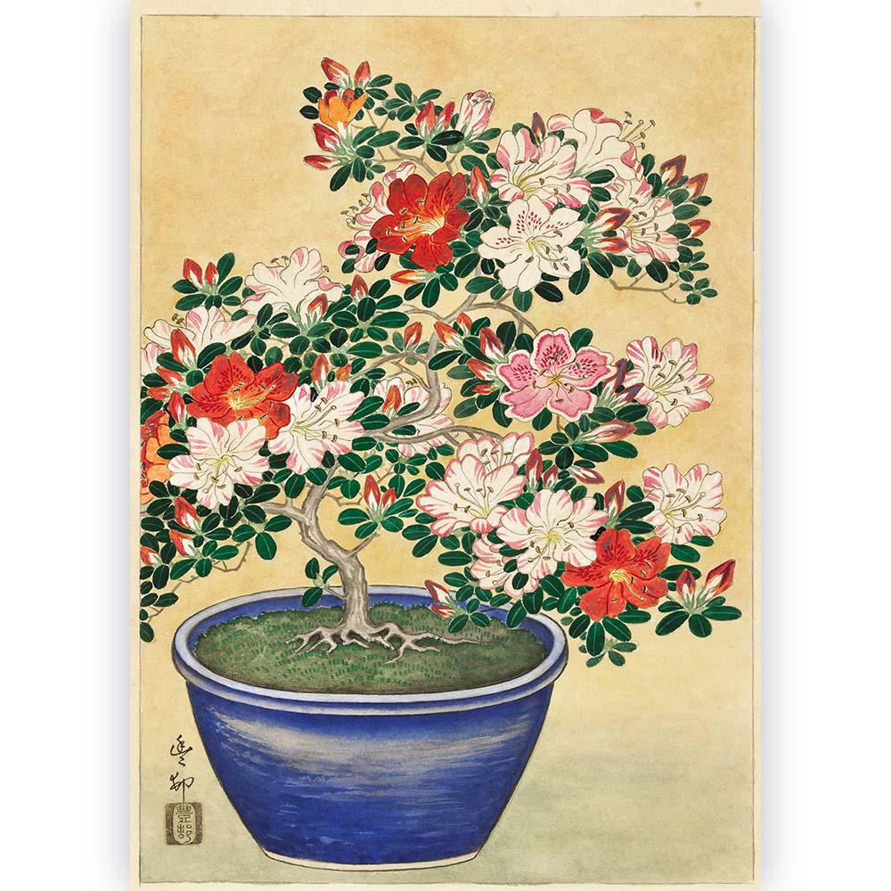 Poster Ohara Koson - Blooming Azalea in Blue Pot 30x45 cm