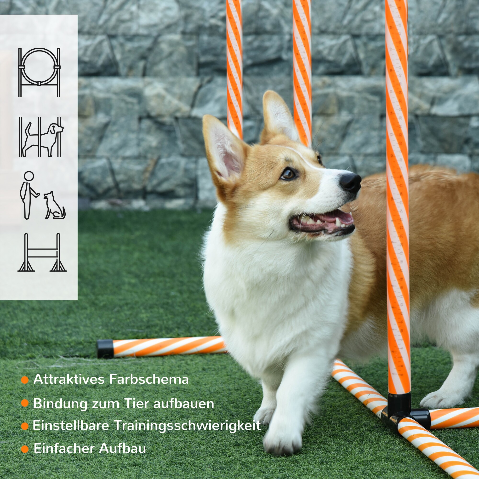 PawHut Hunde Agility Set 5-teilig orange, weiß 328 x 67 x 93 cm (LxBxH)