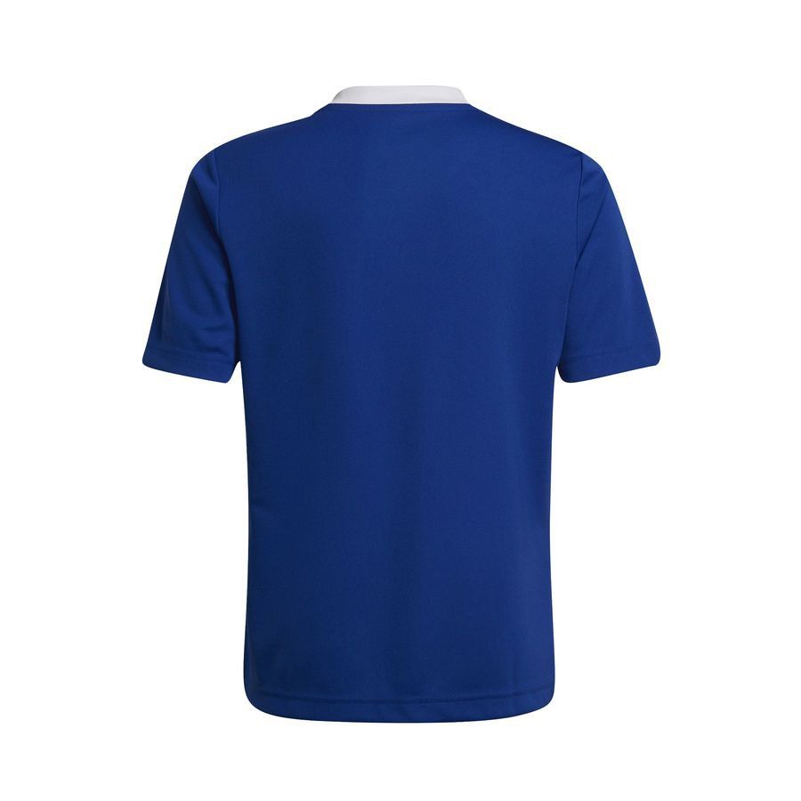 adidas T-shirt d'Entraînement Entrada 22 - Bleu/Blanc Enfant