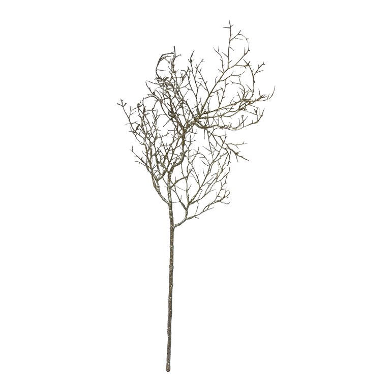 champagne, L 60 cm