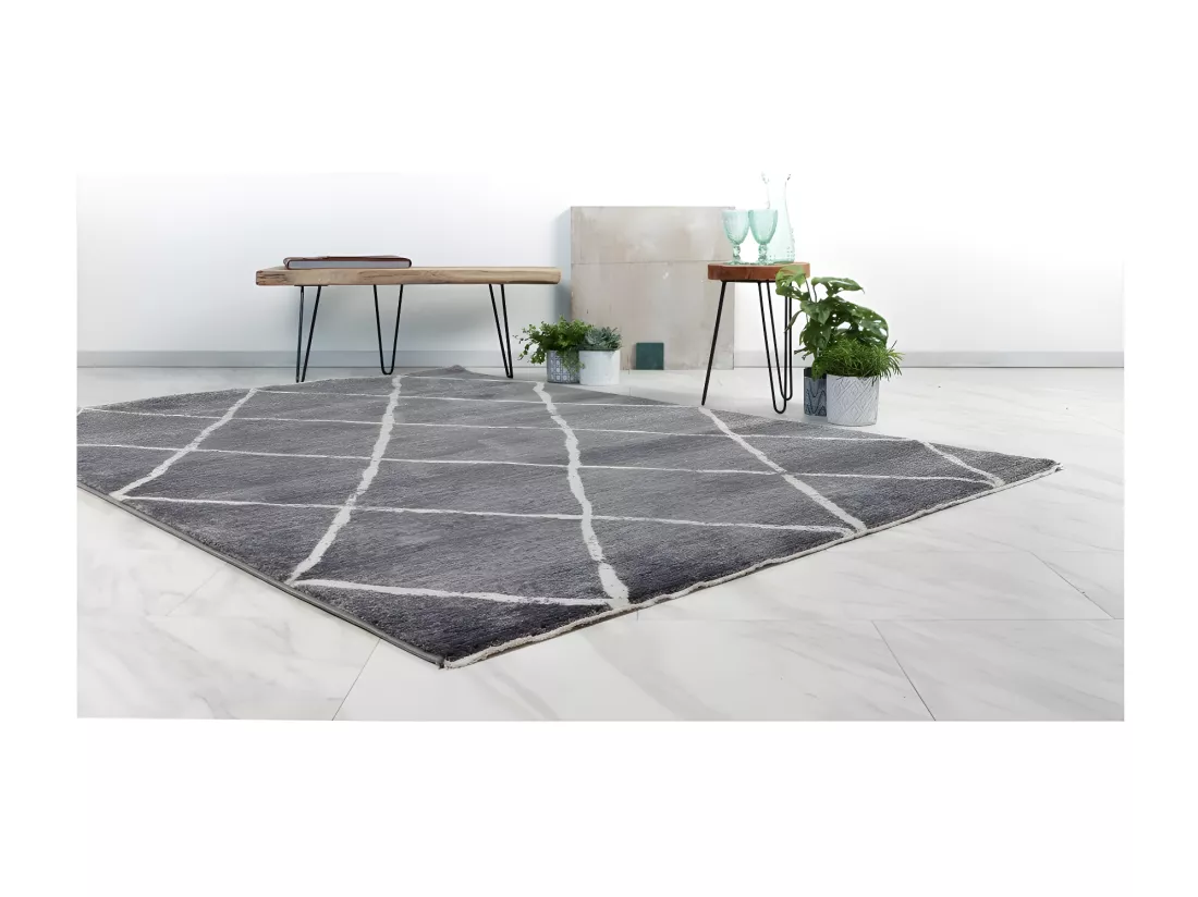 Tapis 290x200cm, design A105R coloris gris - Confort et élégance pour votre intérieur