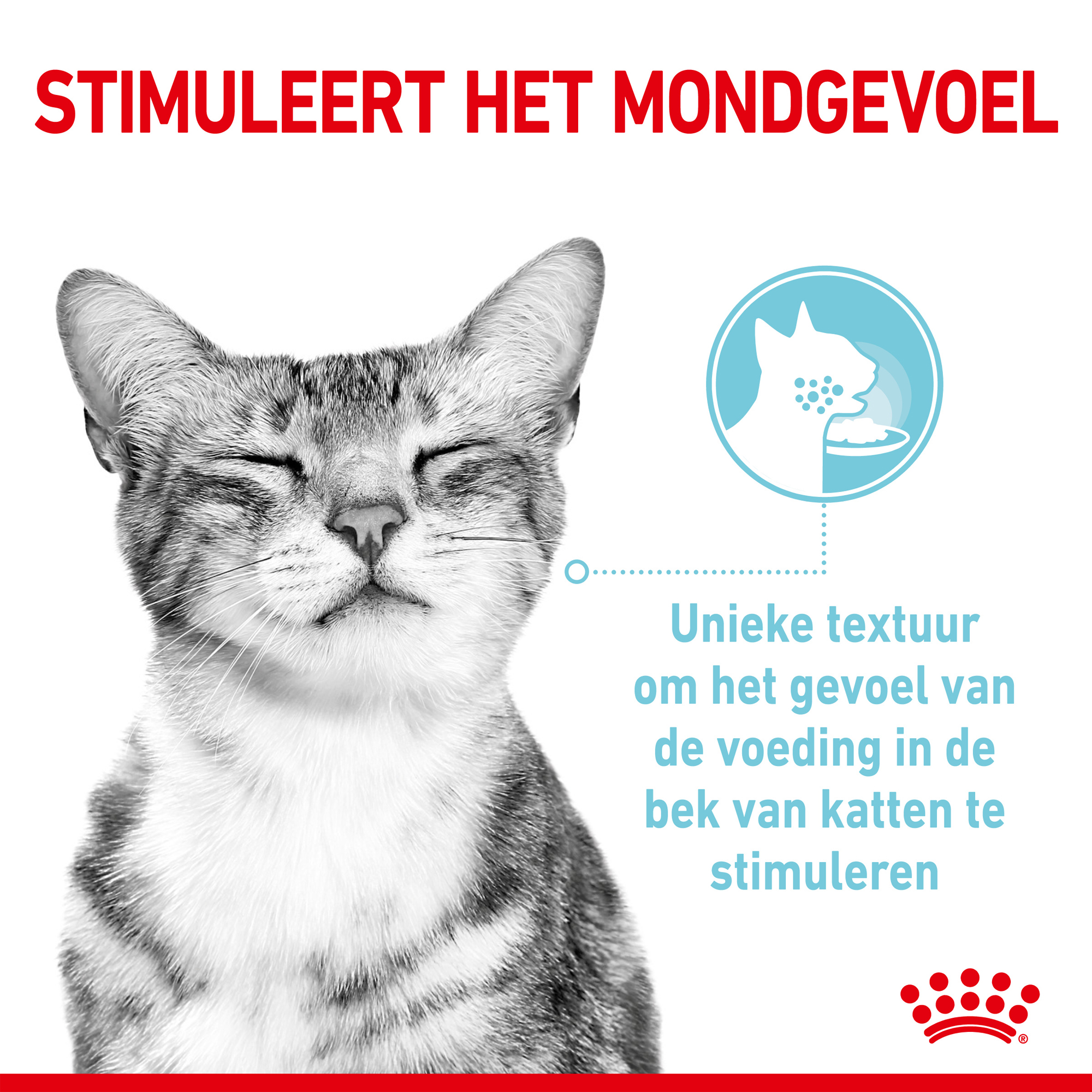 Royal Canin FHN Sensory Multipack in Gravy