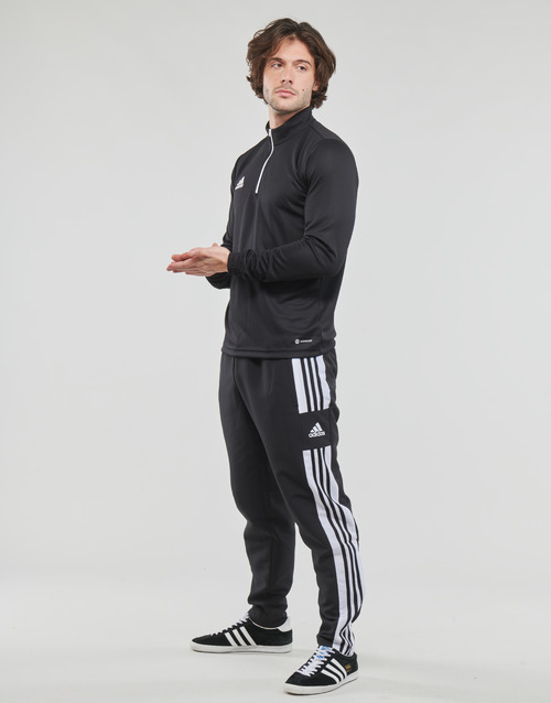 adidas Performance - SQ21 PRE PNT Negro