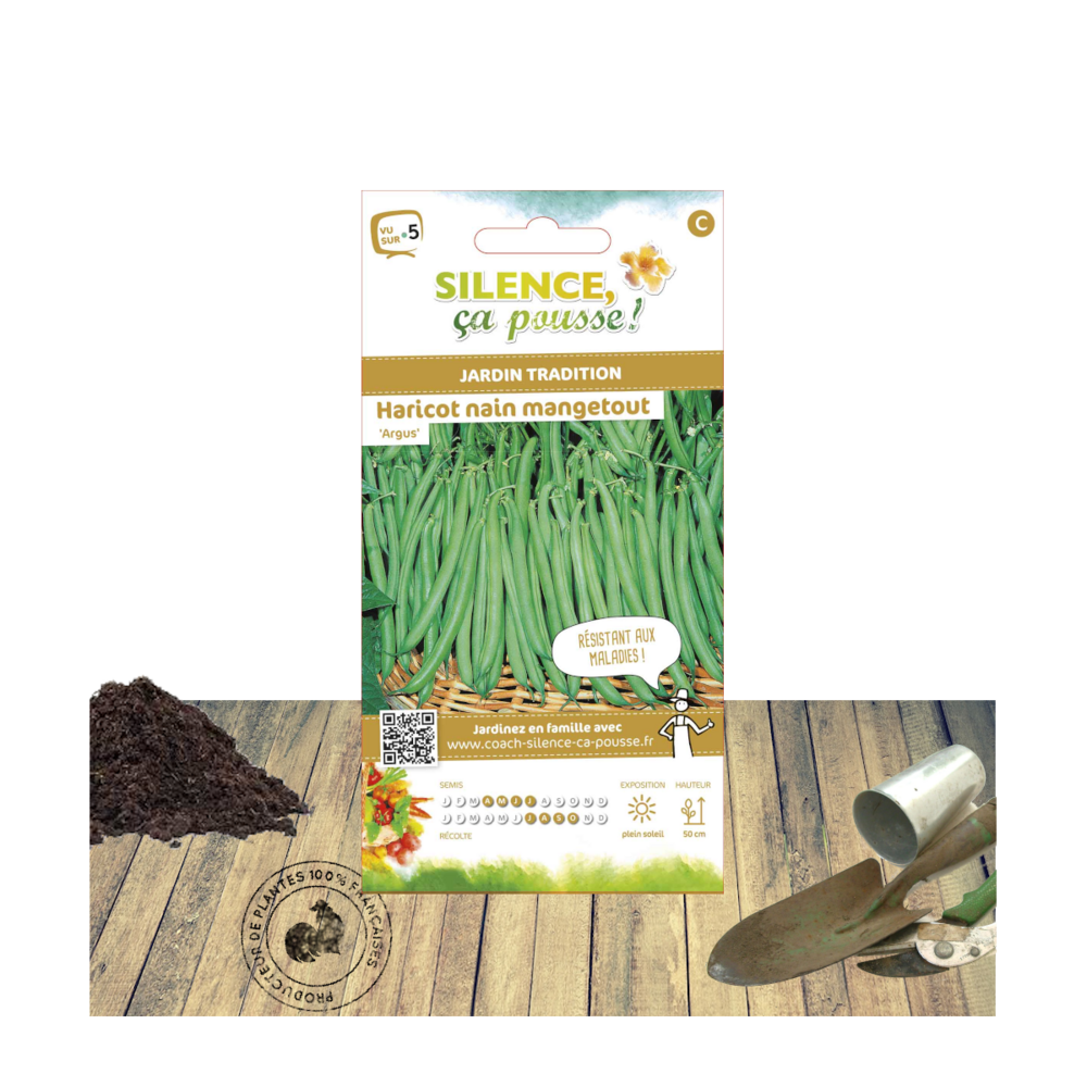 Graines de haricot nain filet argus/phaseolus vulgaris nain filet argus[-]sachet de 15 gr.