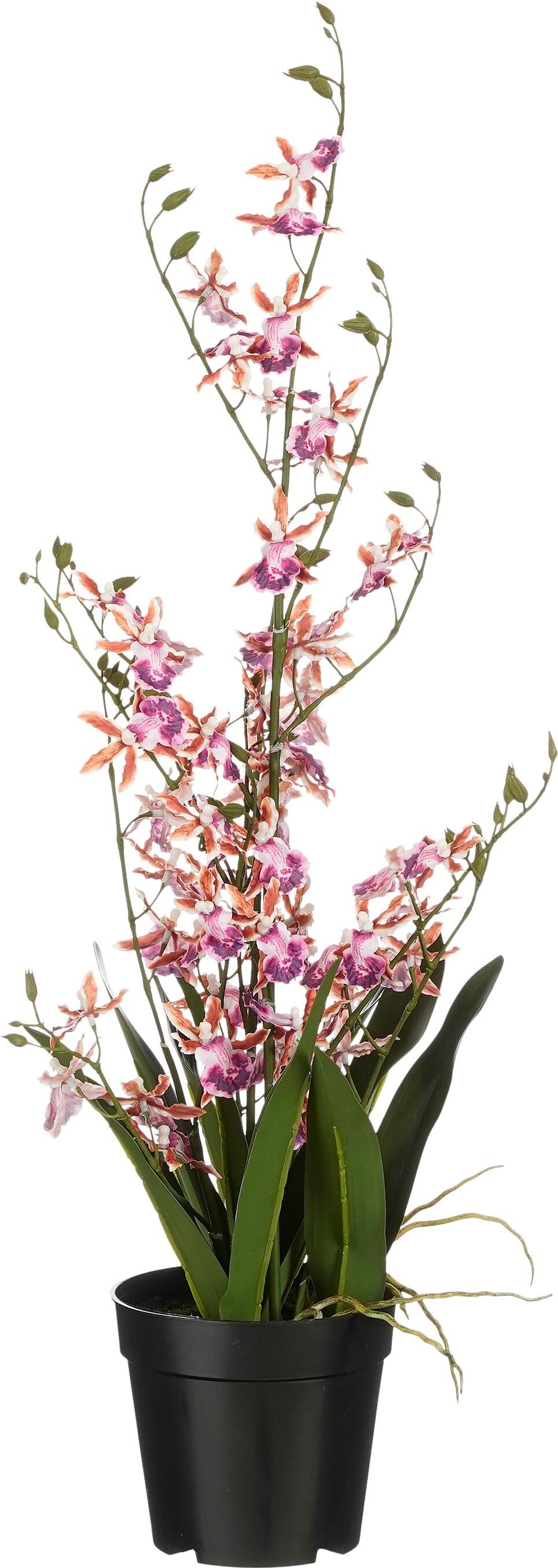 Mica Decorations kunstplant Tijgerorchidee paars D 36 H 76 cm