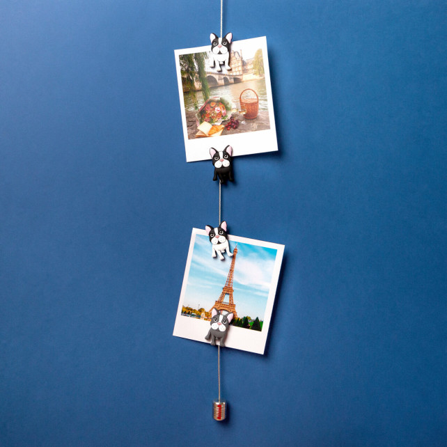Câble porte photos et magnets - Magnetic Cable