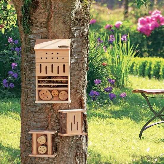 Abri double à abeilles, en bois Douglas L.16 x P.7,5 x H.15 cm