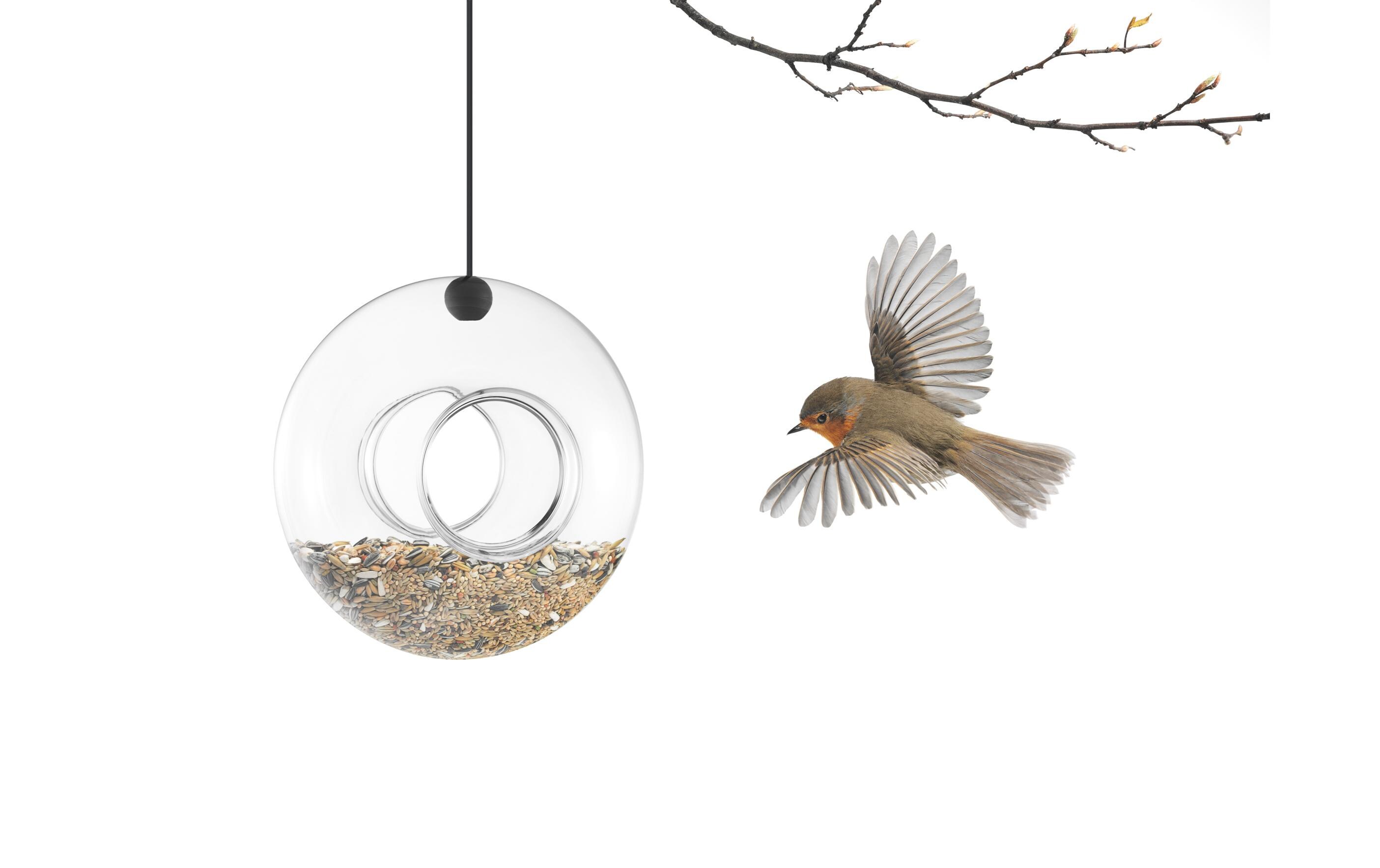 Futterspender Ring Ø 20 cmFutterspender geeignet für Kleinvögel