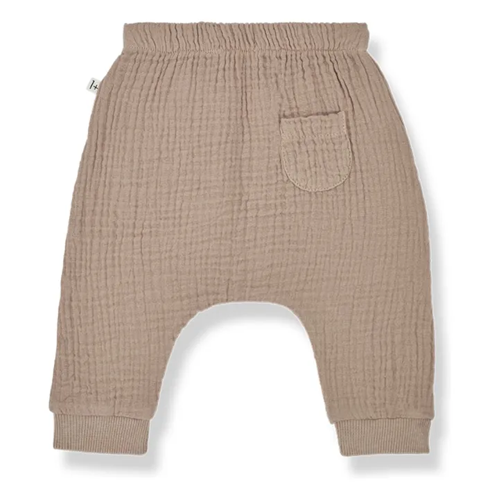 1+ in the family Sarouel Giuseppe Mousseline | Camel