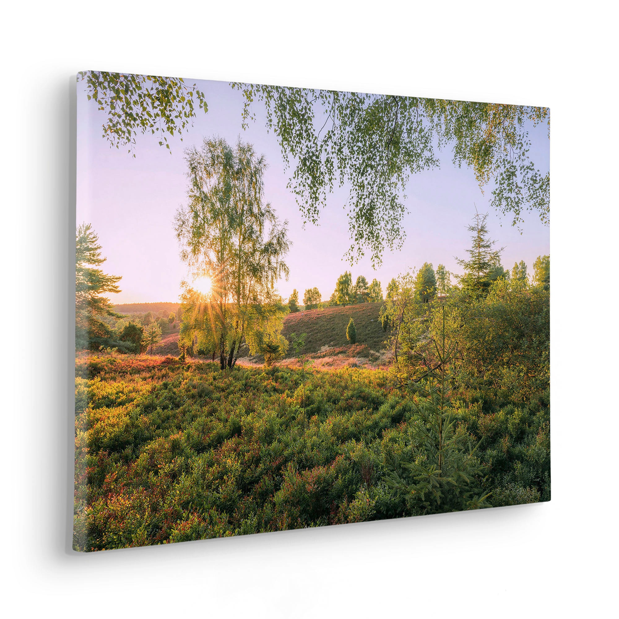 Komar Leinwandbild »Sommerabend - Grösse 60 x 40 cm« Baum | Berge | Blumen | Blätter | Foto | Jahreszeiten | Landschaft | Meer | Natur | Palmen | Strand Packung, 1 Stk. tlg. Keilrahmenbild mi Echtholzrahmen