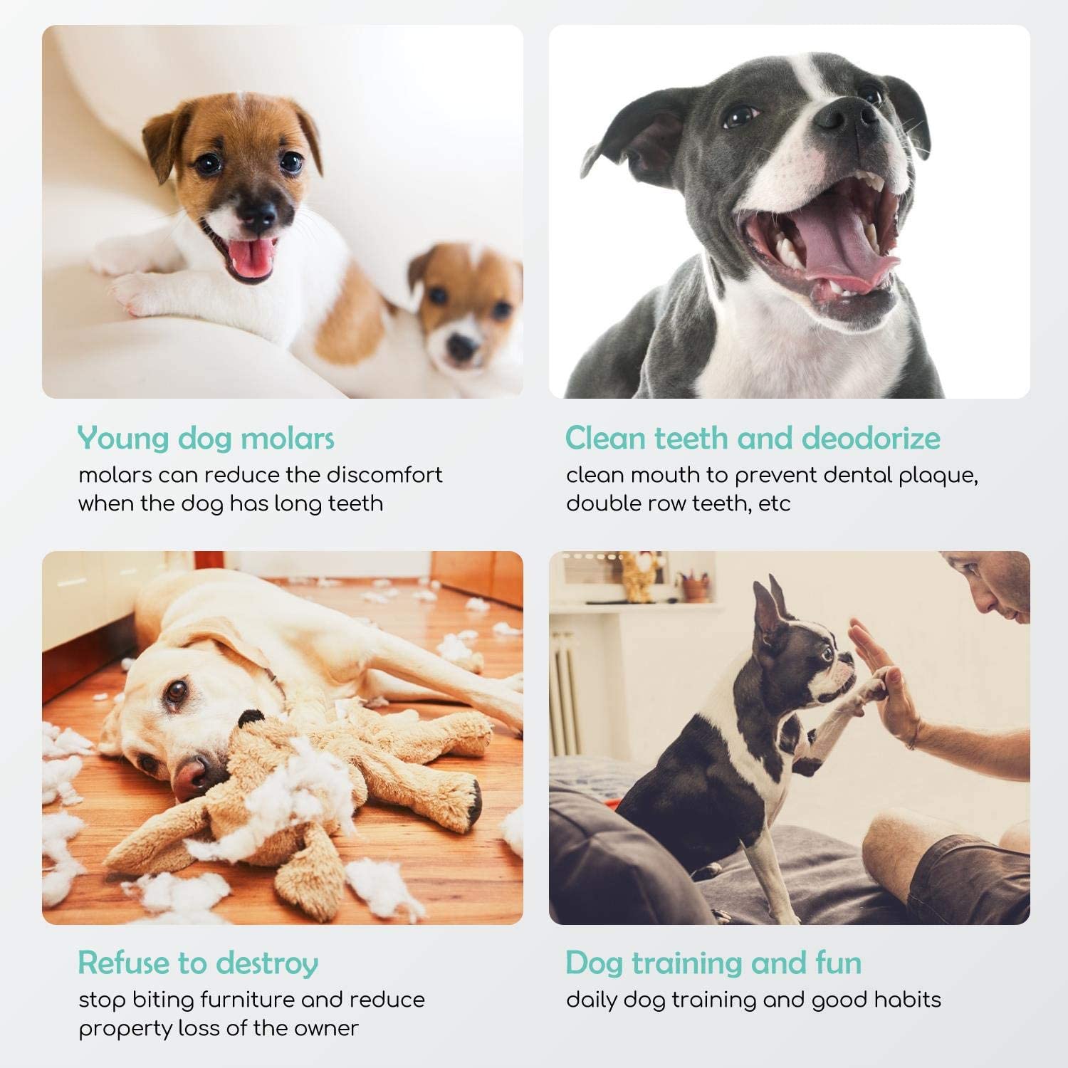 Nobleza - Palitos 100% Naturais para Cães, 125mm x 10mm (120 Unidades), Palitos de Pele de Cachorro, Baixo Teor de Gordura, Alto Teor de Proteína, Sem Aditivos ou Conservantes Artificiais.